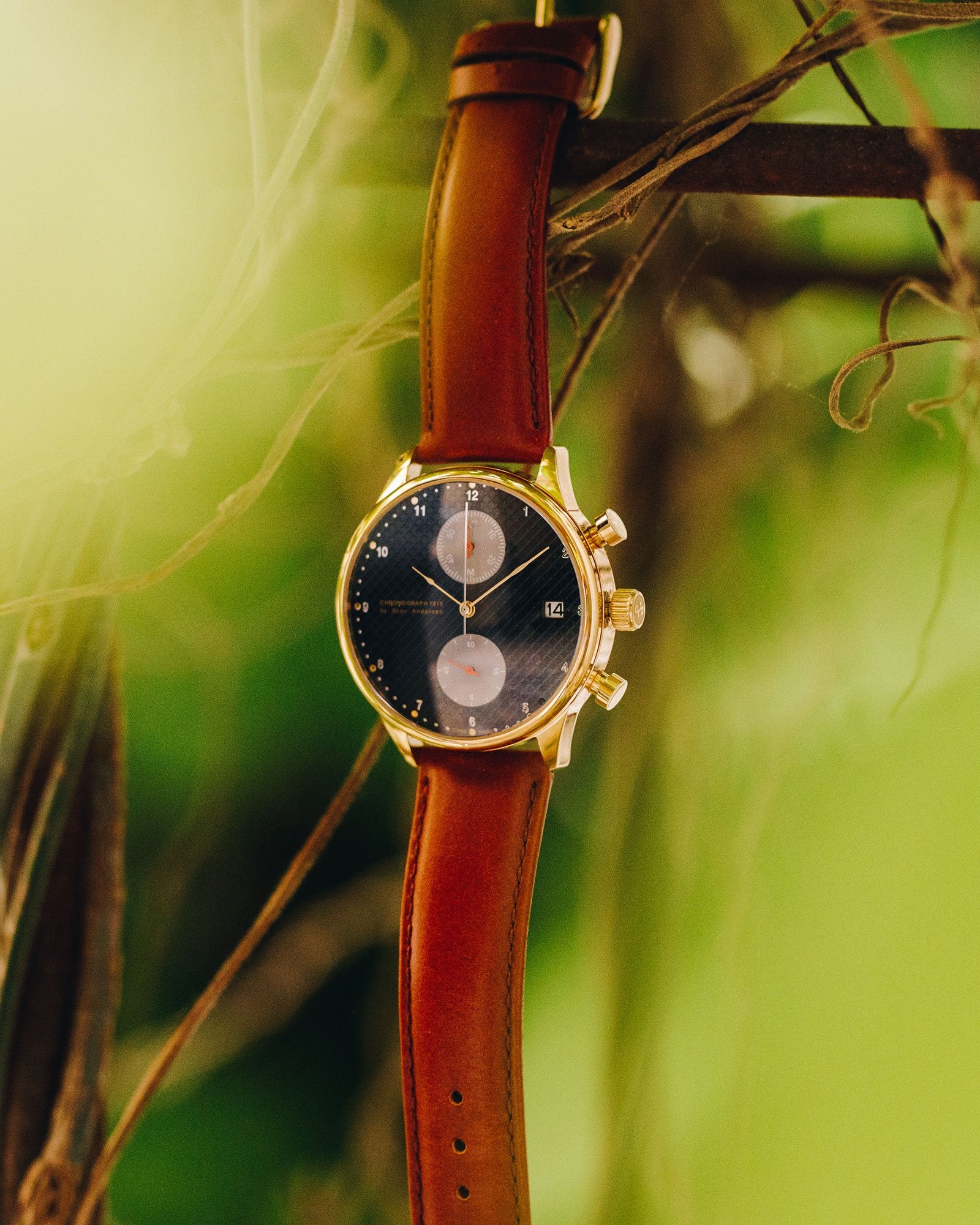 About Vintage - 1815 Chronograph, Gold / Blue Turtle Red (Limited edition)